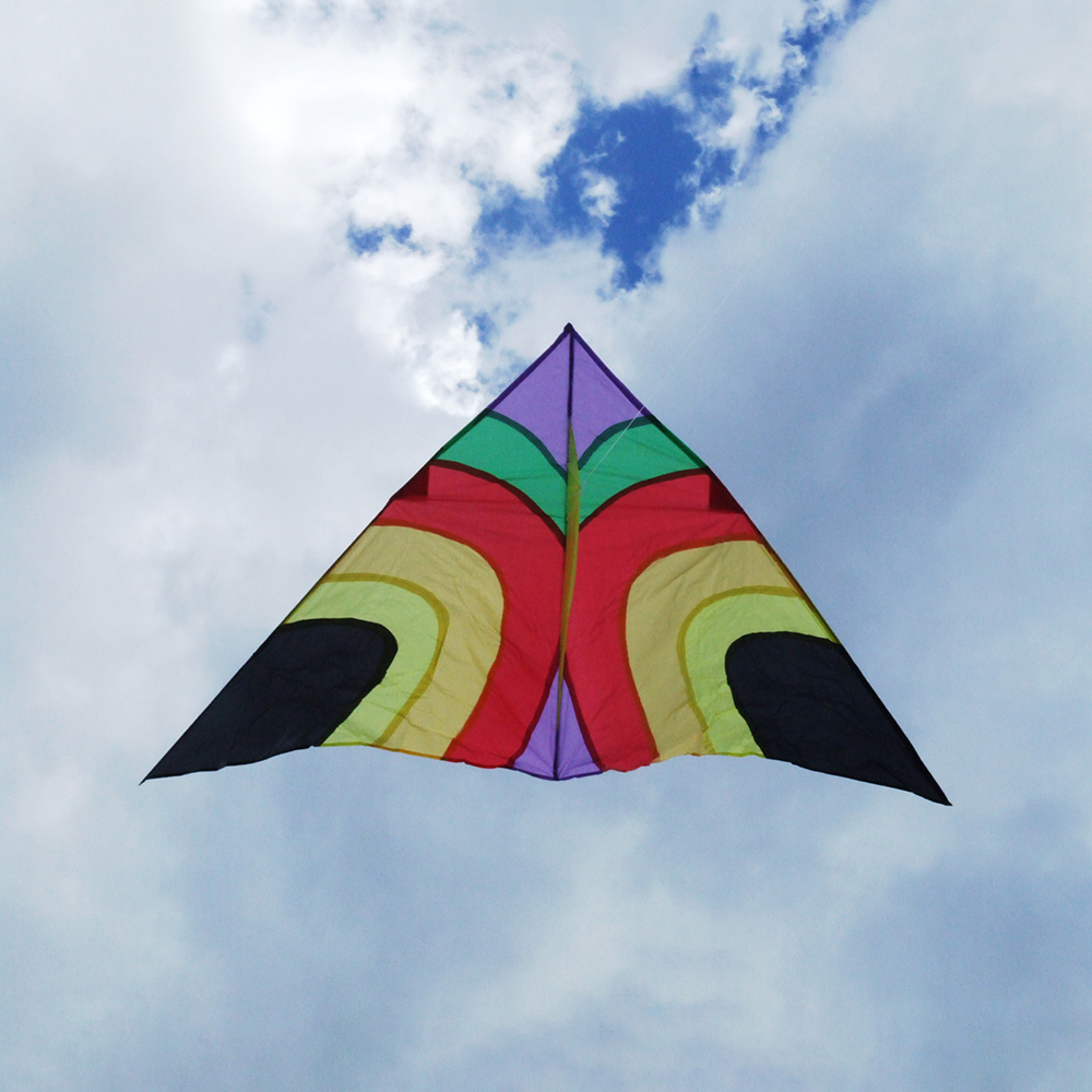Rainbow Delta Kite